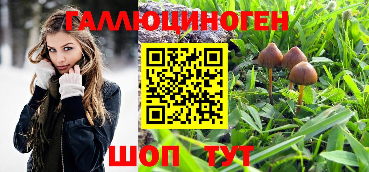 Псилоцибиновые грибы Magic Shrooms  Вход с VPN  Кызыл  Галлюциногенные грибы GOLDEN TEACHER 
